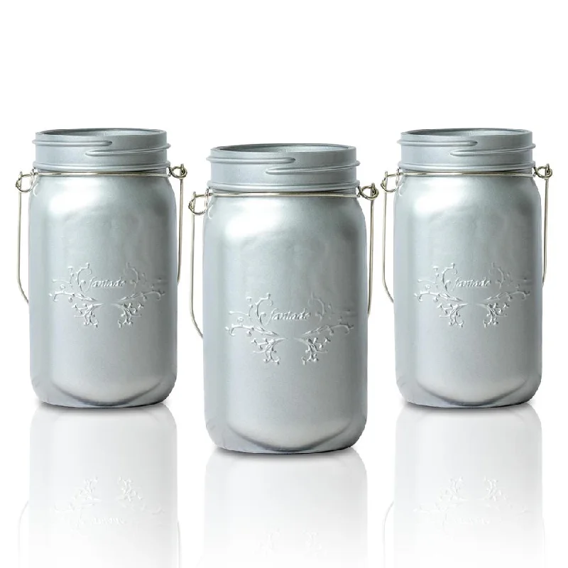 BLOWOUT SINGLE Fantado Wide Mouth Matte Silver Mason Jar w/ Handle, 32oz