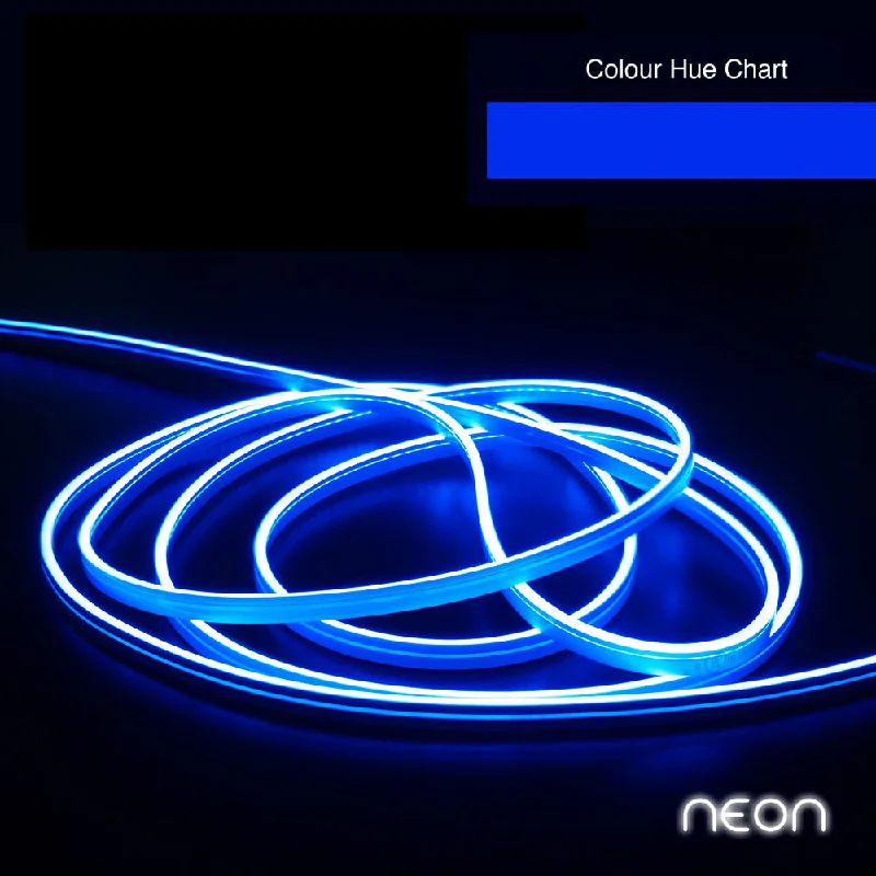 5M(16.4ft) LED Neon light Strip VBDFS-B Neon-4MM-168 LED/m, 24V 3.75(W/ft) Blue color 5M(16.4ft) LED Neon light Strip VBDFS-B Neon-4MM-168 LED/m, 24V 3.75(W/ft) Blue color