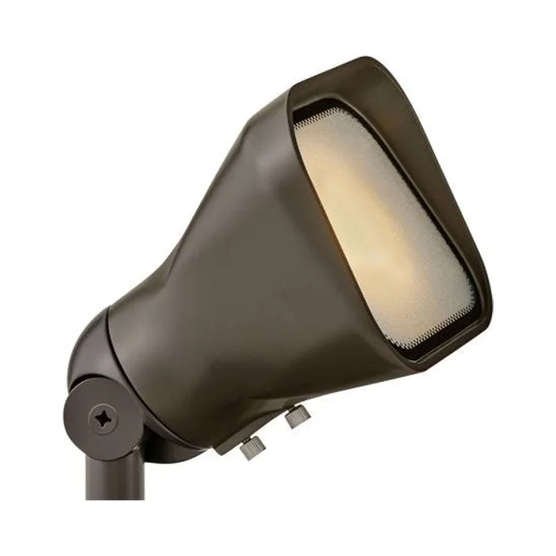 Track lighting for creating a focal pointAccent Outdoor Flood Light