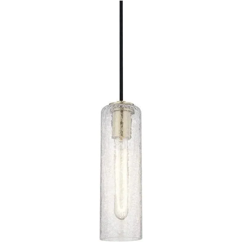 Track lighting for high - ceiling spacesSkye Pendant